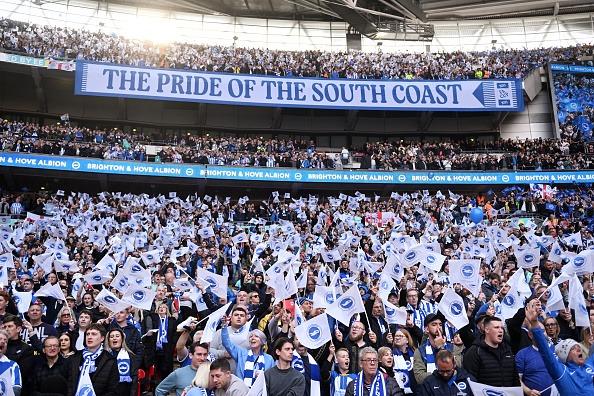Seagulls at Wembley