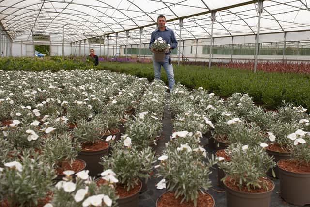 Nursery manager Michael Esposito with some of the plants
