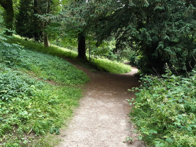 Carry on cutting through the woodland until you come to this wider path. Turn right on to it and immediately left on to that smaller path ahead.