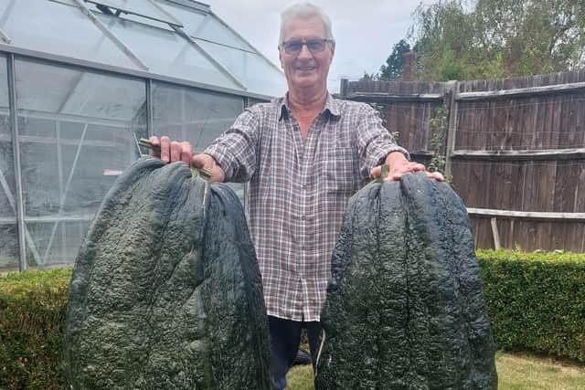 Bill Cable with his monster marrows - he needed help to get the giant veg into a wheelbarrow to wheel them back to his Horsham home from his allotment. Photo contributed