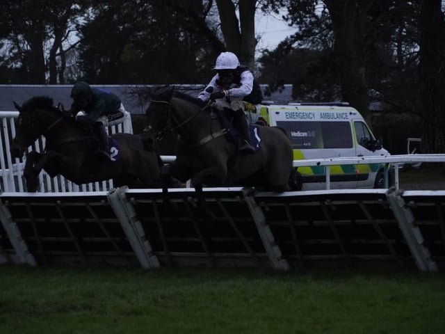 Christmas Jumpers Raceday at Fontwell Park 2025