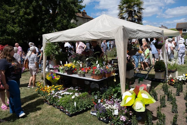 A village fete stall selling flowers. Photo: Tony Lord
