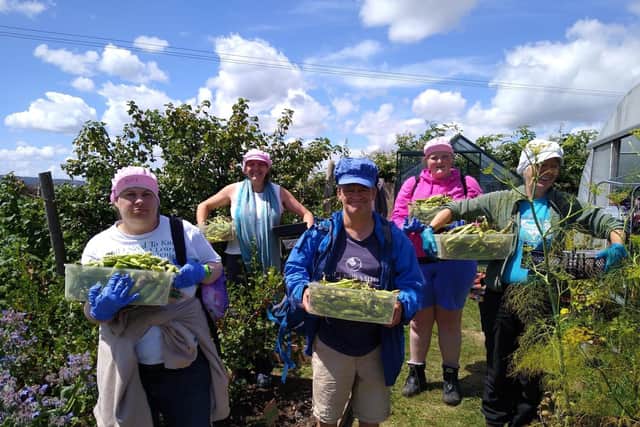 Petworth Community Gardens joins more than 300 organisations from across the UK who were recently announced by the QGC as recipients of these special trees in name of Queen Elizabeth II.