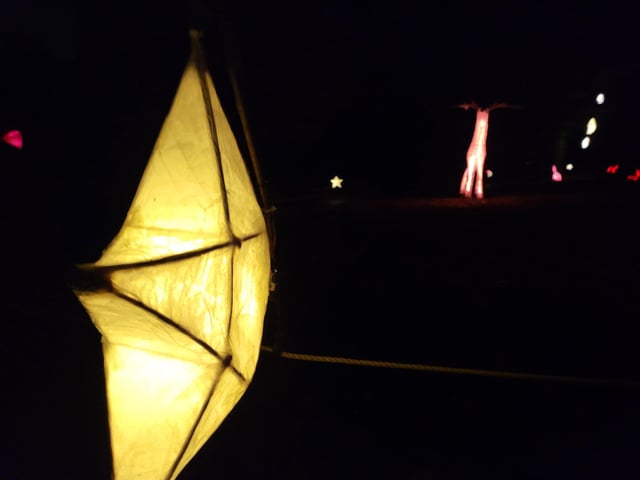 An enchanting winter lantern trail at Wakehurst Place