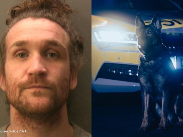 A man has been jailed for six months after breaching a restraining order. Craig Bryden had been issued with an order not to contact the victim in Peacehaven. But two months after it was issued, the 32-year-old attended the address, prompting a police search in the area. During the search, Hox, a six-year-old German Shepherd Police Dog, caught up to Bryden, who tried to evade arrest and punched the dog in the face. He continued to run away, but dauntless Hox persevered with the chase alongside handler PC Gareth Evers. Bryden then assaulted PC Evers and kicked PD Hox in the head, but he was safely detained and arrested on suspicion of breaching a restraining order, assaulting an emergency worker, and causing unnecessary suffering to a protected animal. Bryden, of Westbourne Villas, Hove, was charged with the offences and appeared for sentence before Lewes Crown Court on May 19. He was sentenced to six months imprisonment and was ordered to pay £154 in costs. Bryden was also charged with causing grievous bodily harm in relation to the reported assault but was later found not guilty. The court was told how the incident happened in the early hours of December 5 last year, with officers responding to a report of an assault.