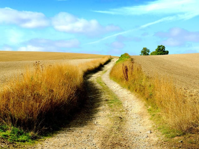 The South Downs Way