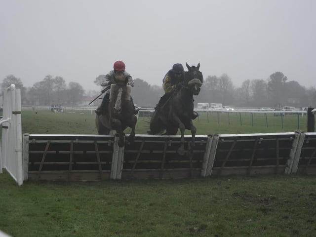 January jump racing at Fontwell Park, 2025