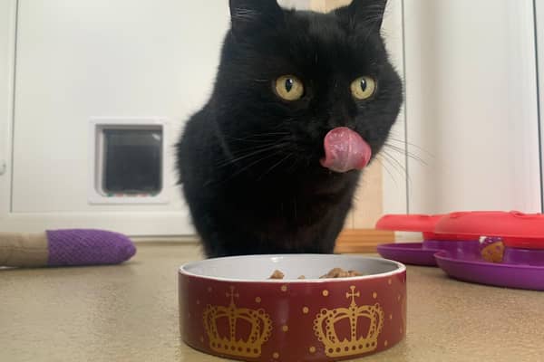 Jake tucking in to his Jubilee lunch in June