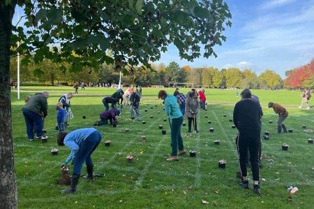 More than 150 people came together to plant bulbs in Horsham Park to mark 50 years of local work by The Samaritans