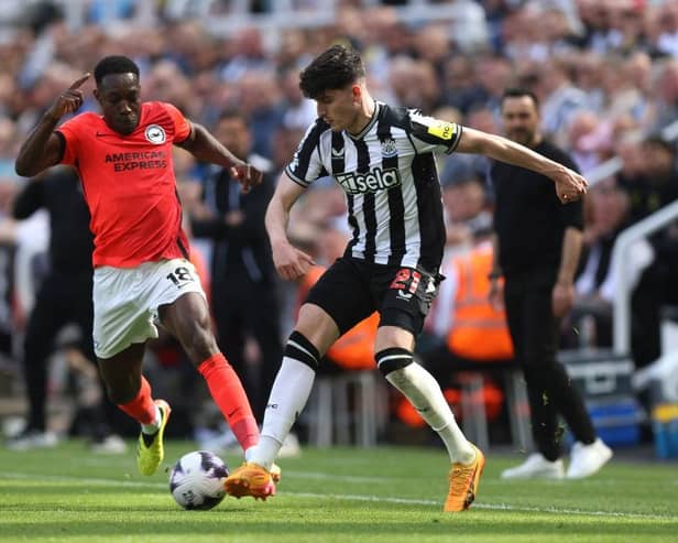 NEWCASTLE UPON TYNE, ENGLAND - MAY 11: Danny Welbeck of Brighton & Hove Albion battles for possession with Tino Livramento of Newcastle United during the Premier League match between Newcastle United and Brighton & Hove Albion at St. James Park on May 11, 2024 in Newcastle upon Tyne, England. (Photo by George Wood/Getty Images)