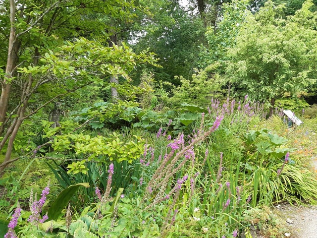 RHS Garden Wisley is a great day out, and it's only just outside of Sussex. Picture: Katherine HM