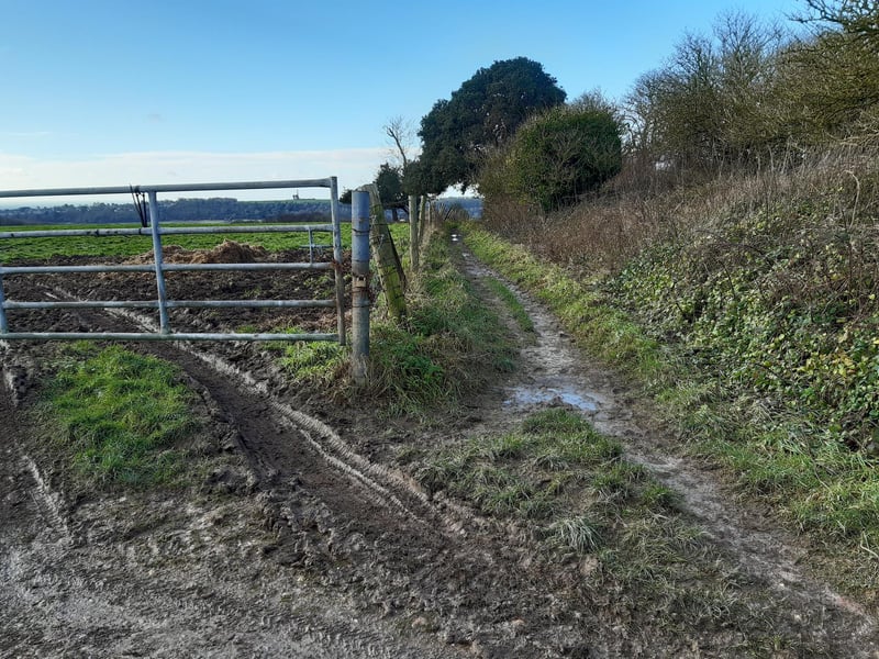 This part is a long straight path.