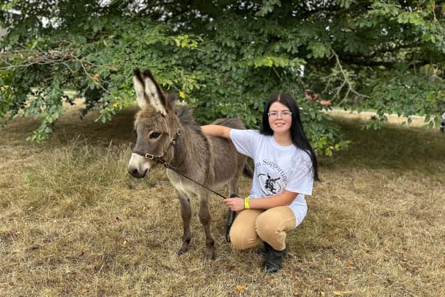 Walk 25 miles to help donkeys in desperate need - Safe Haven launches ...