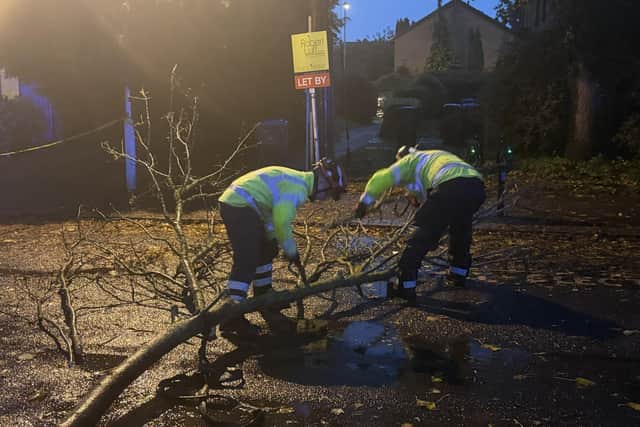 Fire crews remove a fallen branch in Pilgrims Terrace, Worthing.