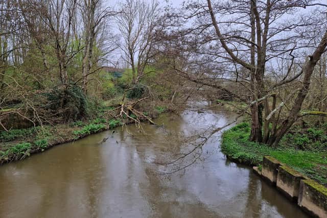 The River Arun near Southern Water's Hardham Water Supply Works