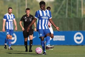 Brighton midfielder Carlos Baleba is an "option" to start against Fulham after transfer links to Manchester United