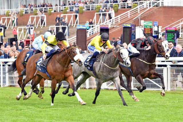 Desperate Hero was among winners on Goodwood's opening day for jockey David Probert | Picture: Malcolm Wells
