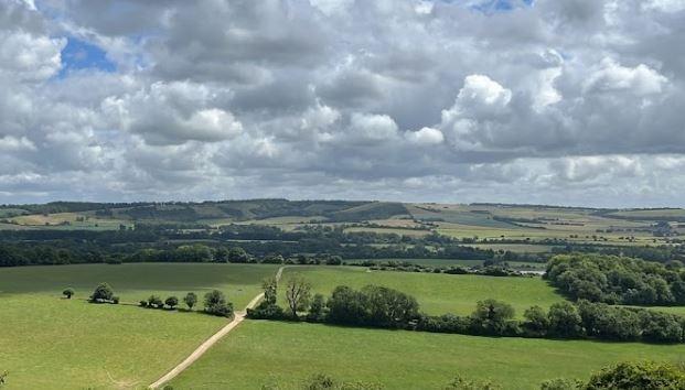 This walk takes you through the beautiful South Downs National Park and offers stunning views of the surrounding countryside