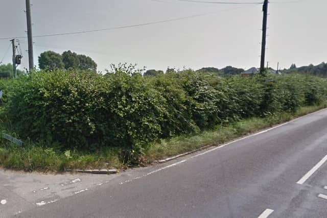 The 700-year-old hedgerow in Stone Cross. Picture by Google Maps