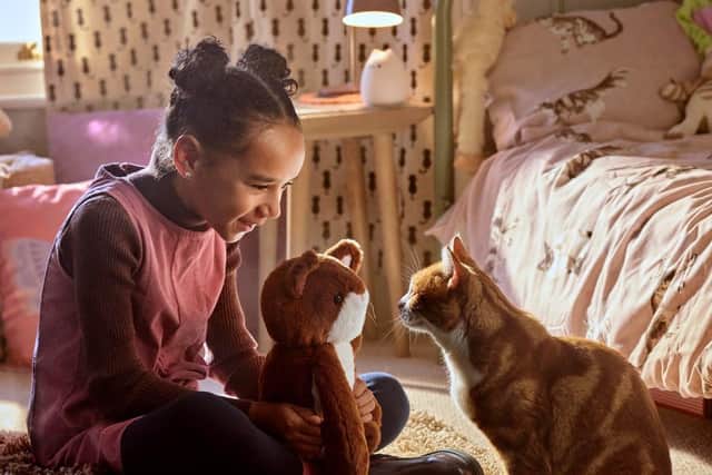Rye school girl Freya Duffy-Allain stars in national TV campaign for Cats Protection