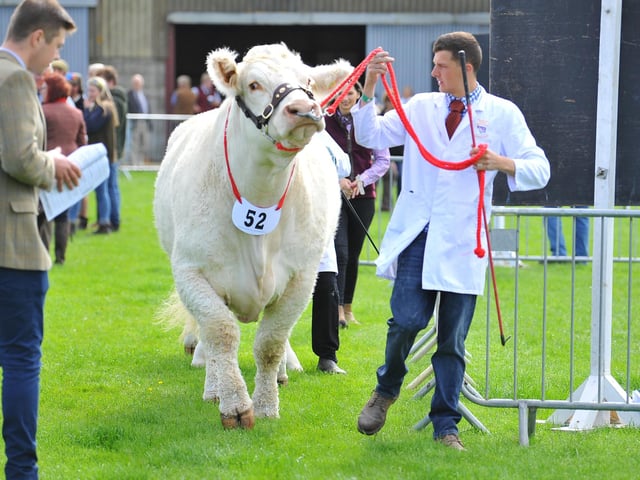 The South of England Show 2022 at Ardingly runs from Friday to Sunday, June 10-12