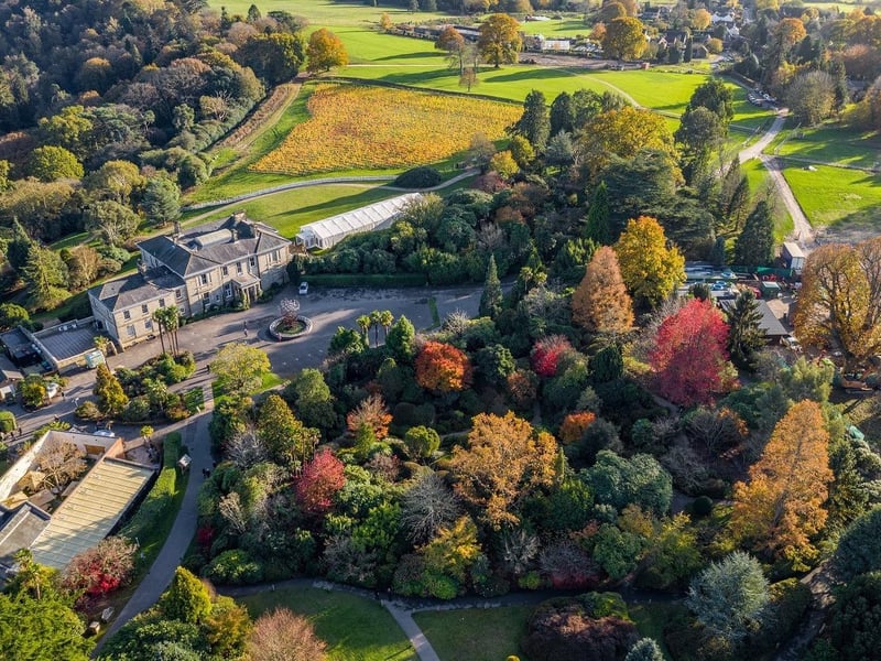 Leonardslee Lakes and Gardens has a new playpark