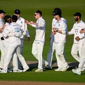 Jack Carson of Sussex (centre, sunglasses) celebrates with team mates after dismissing Finlay Bean of Yorkshire during the LV= Insurance County Championship Division 2 match between Sussex and Yorkshire at The 1st Central County Ground (Photo by Mike Hewitt/Getty Images)