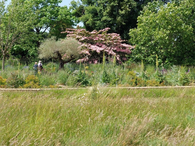 A look inside Midhurst’s famous Woolbeding Gardens: In Pictures