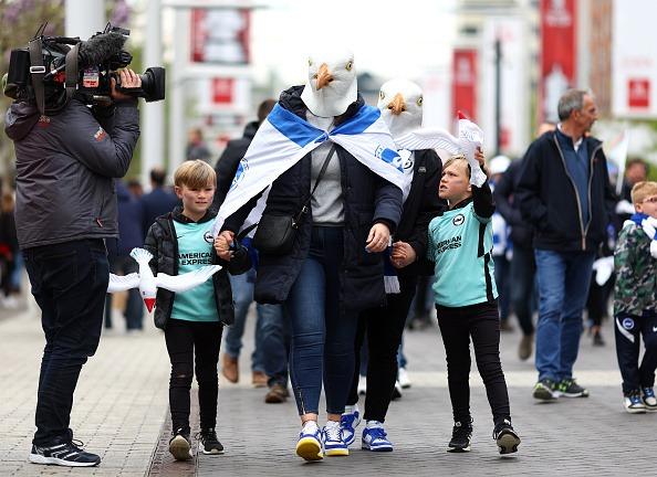 Seagulls at Wembley