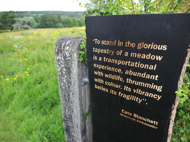 Meadowland is at Wakehurst from Friday, June 14, to Tuesday, September 10