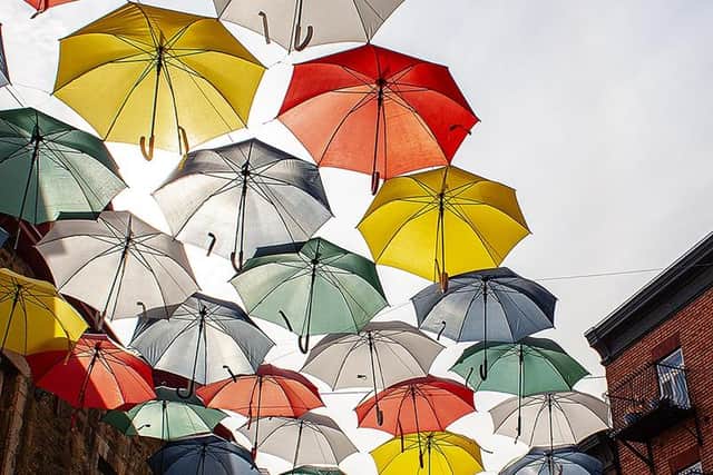Umbrella Street by Angela Acland