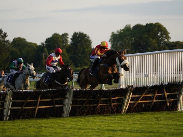 Evening racing at Fontwell Park, June 2025