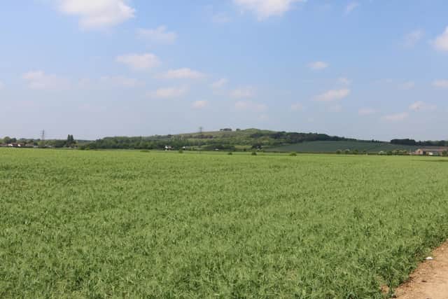 In March 2021, the council refused planning permission for 475 homes to be built on the 20 acres of land, which sits within the setting of South Downs National Park. Photo: Worthing Borough Council