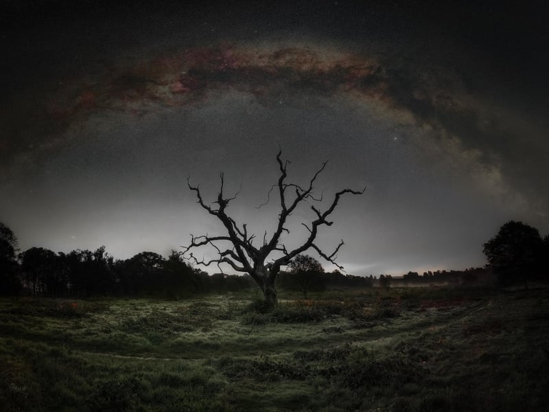 Reach for the Sky by Carl Gough