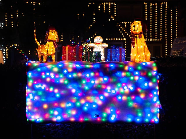 Westfield Christmas lights 2024. Photo by Frank Copper. The event this year has been scaled back significantly.