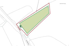 Plans to use a patch of agricultural land in Balcombe for dog exercising have been approved by Mid Sussex District Council. Image: Paw Paddock