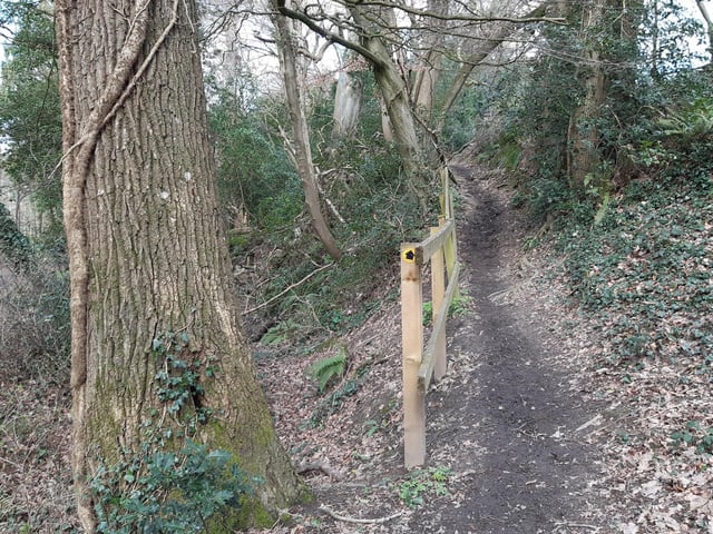 However, I am carrying on my walk over the bridge and taking this narrow footpath up
