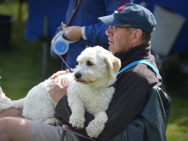 Bexhill Horse & Dog Show 2024.