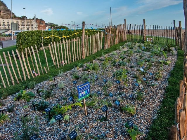 The We Dig Hastings project on the seafront