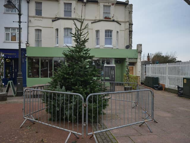 Bexhill's 2023 Christmas Tree in Devonshire Square.