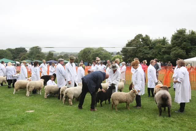 Findon Sheep Fair dates back to 1261 but it was George Holford who revived the event on Nepcote Green some time before 1785 and the annual tradition has continued for more than 240 years