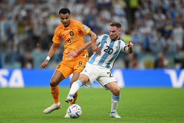 Former Arsenal, Everton and Nottingham Forest striker Kevin Campbell has hailed Brighton & Hove Albion midfielder Alexis Mac Allister (right) amid rumours that Tottenham Hotspur are looking to lure the Argentinian to north London. Picture by Matthias Hangst/Getty Images