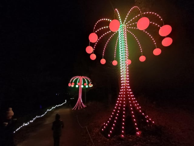 Leonardslee Illuminated is on now and runs on selected dates until December 21, 2023