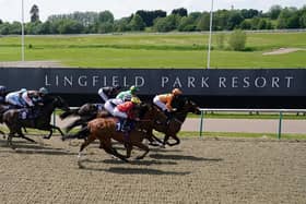 Win a three-course meal and two tickets at Lingfield Races