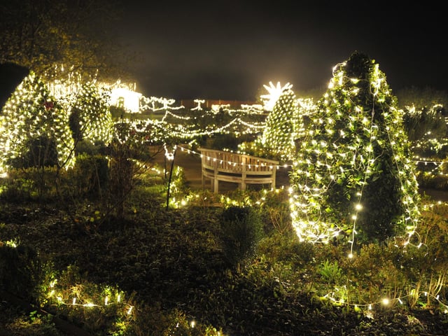 Cowdray Christmas Lights, Midhurst. Pic S Robards SR2212011