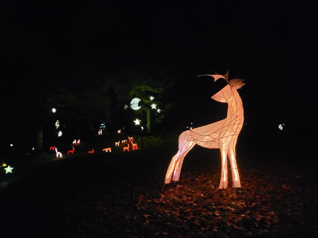 An enchanting winter lantern trail at Wakehurst Place