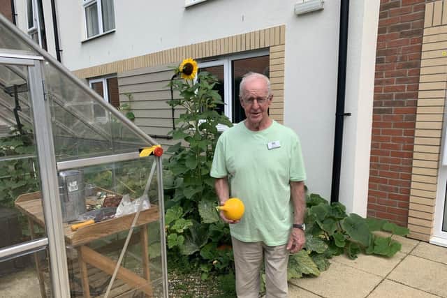 Bill and his sunflowers