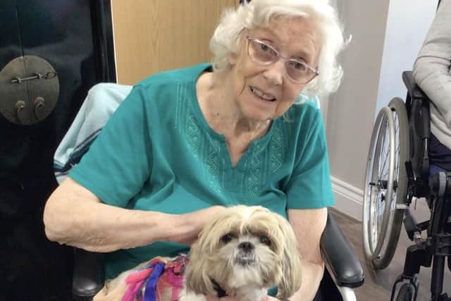 Residents at Amherst House enjoy the animals