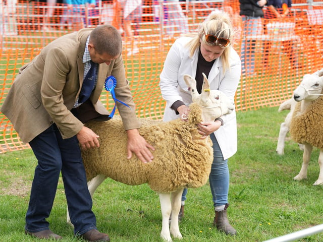 Findon Sheep Fair 2026
