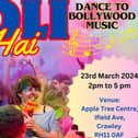 Indians In Crawley Holi Poster